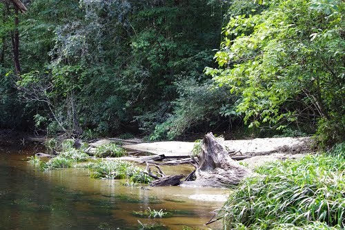 Bagne des Annamites - Guyane