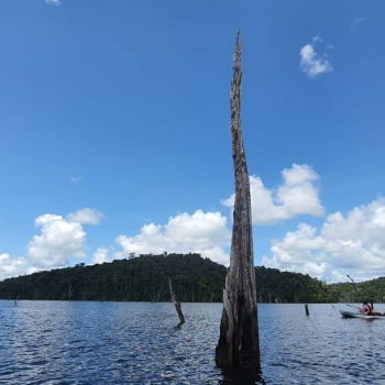 Barrage Petit Saut Guyane Barrage Petit Saut Guyane