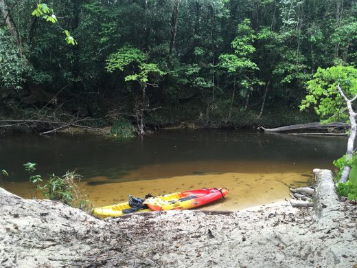 kayak-crique-anguille